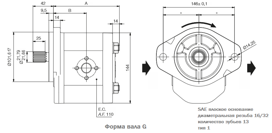 Размеры насосов серии PLAN Roquet, фланец 09, вал G