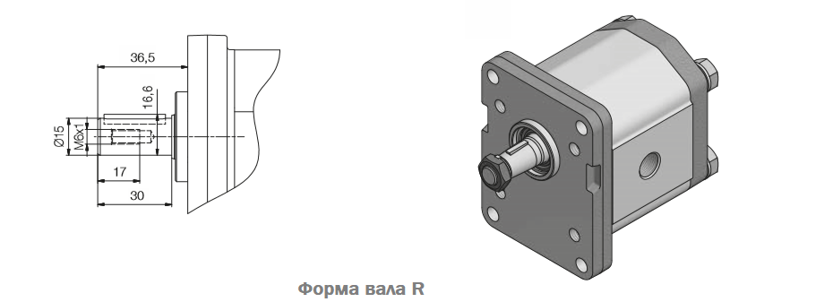 Размеры насосов серии L Roquet, фланец 10, вал R